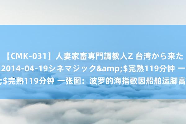 【CMK-031】人妻家畜専門調教人Z 台湾から来た生贄女</a>2014-04-19シネマジック&$完熟119分钟 一张图：波罗的海指数因船舶运脚高潮禁止五连跌