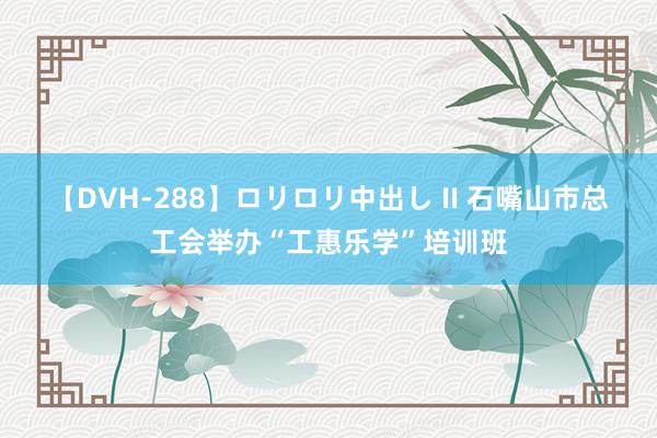 【DVH-288】ロリロリ中出し II 石嘴山市总工会举办“工惠乐学”培训班