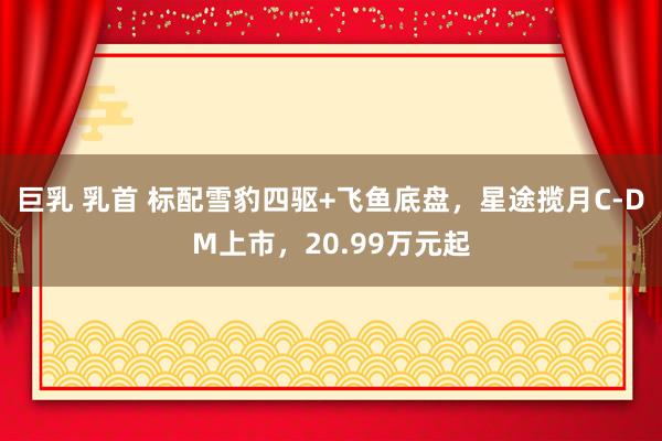 巨乳 乳首 标配雪豹四驱+飞鱼底盘，星途揽月C-DM上市，20.99万元起