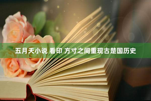 五月天小说 看印 方寸之间重现古楚国历史