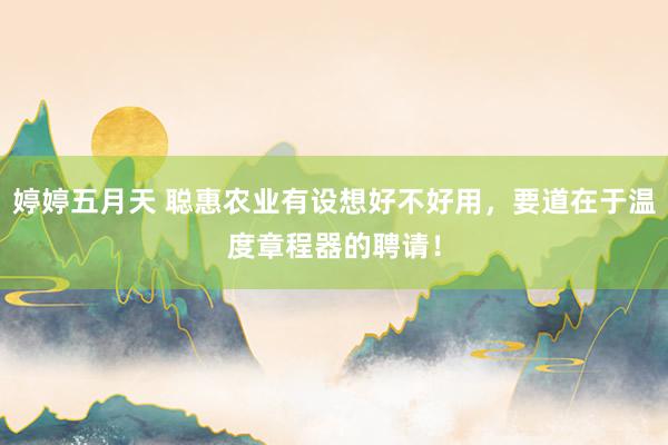 婷婷五月天 聪惠农业有设想好不好用，要道在于温度章程器的聘请！