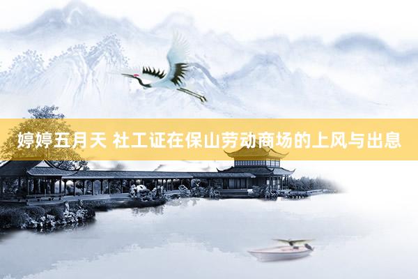 婷婷五月天 社工证在保山劳动商场的上风与出息