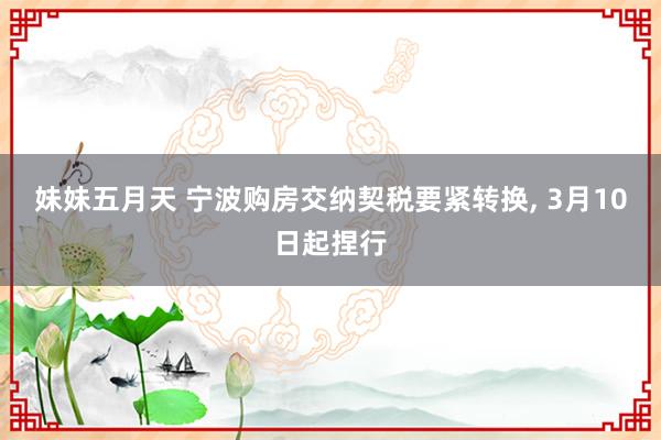 妹妹五月天 宁波购房交纳契税要紧转换， 3月10日起捏行