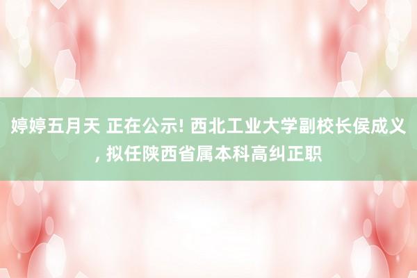 婷婷五月天 正在公示! 西北工业大学副校长侯成义， 拟任陕西省属本科高纠正职