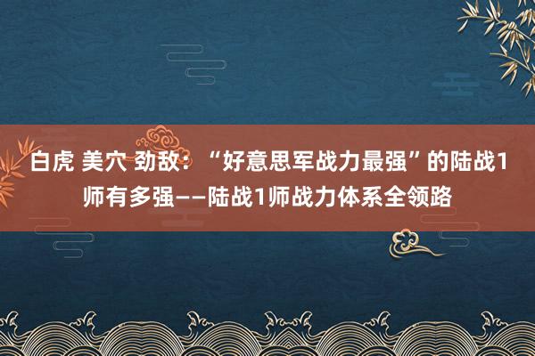 白虎 美穴 劲敌：“好意思军战力最强”的陆战1师有多强——陆战1师战力体系全领路