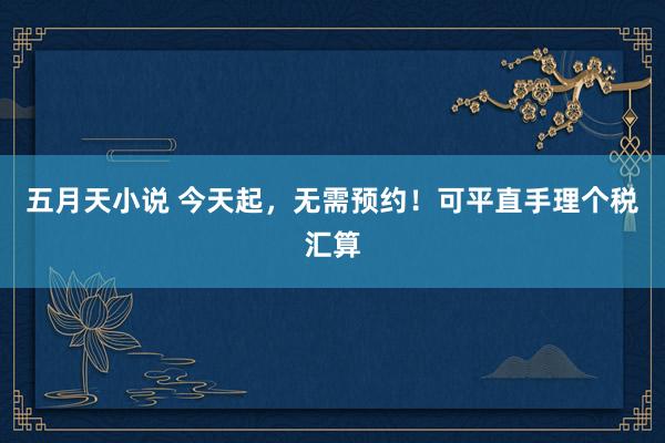 五月天小说 今天起，无需预约！可平直手理个税汇算