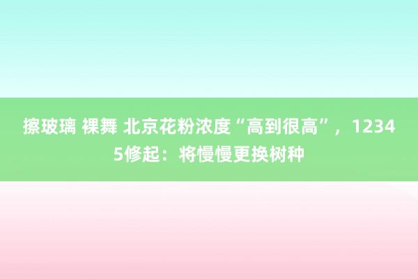擦玻璃 裸舞 北京花粉浓度“高到很高”，12345修起：将慢慢更换树种